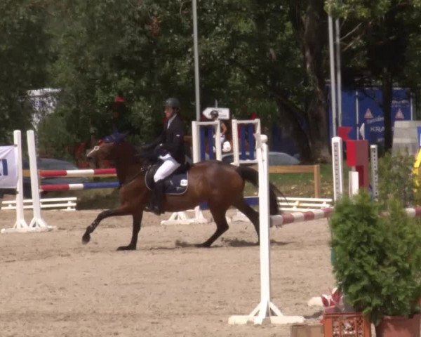 Reitturnier Kleinostheim/Ufr. 2020