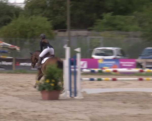 Reitturnier Kleinostheim/Ufr. 2020