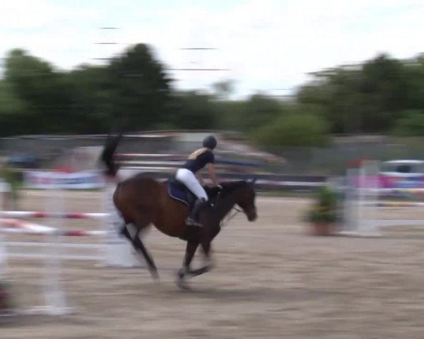 Reitturnier Kleinostheim/Ufr. 2020