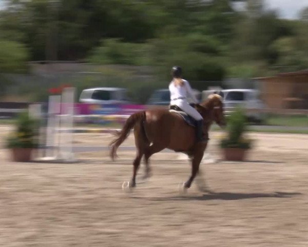Reitturnier Kleinostheim/Ufr. 2020