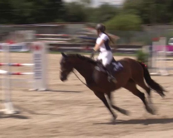 Reitturnier Kleinostheim/Ufr. 2020