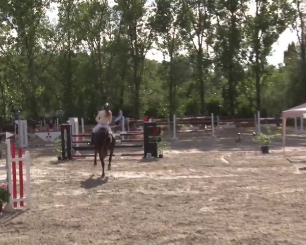 Reitturnier Kleinostheim/Ufr. 2020