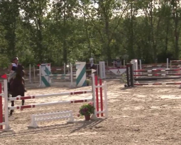 Reitturnier Kleinostheim/Ufr. 2020
