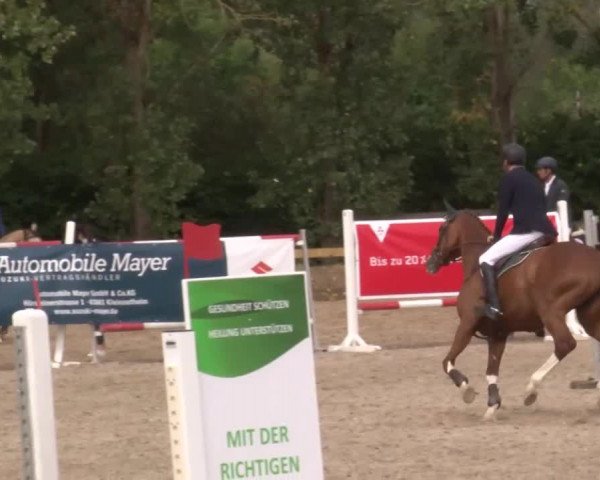 Reitturnier Kleinostheim/Ufr. 2020