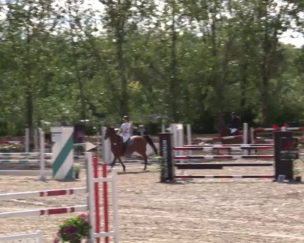 Reitturnier Kleinostheim/Ufr. 2020
