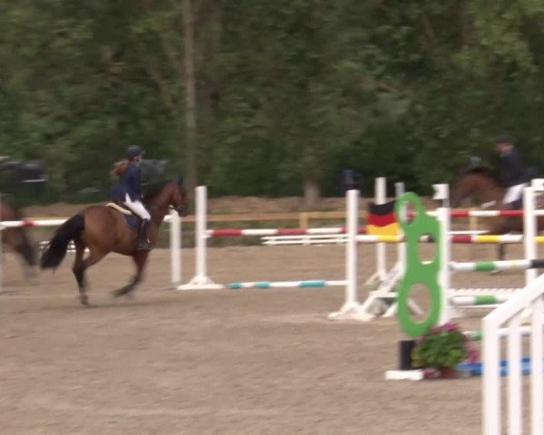 Reitturnier Kleinostheim/Ufr. 2020