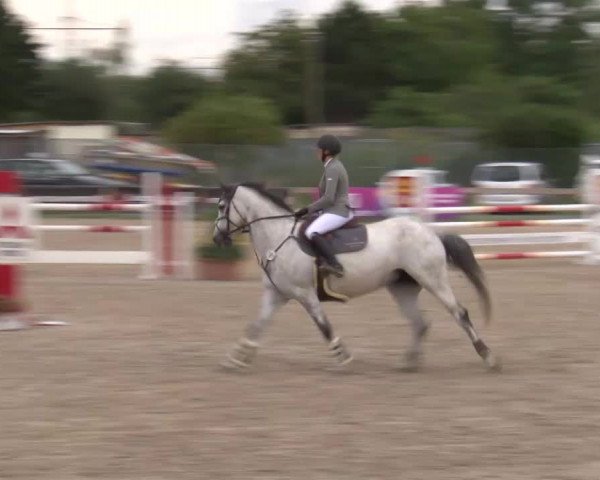 Reitturnier Kleinostheim/Ufr. 2020