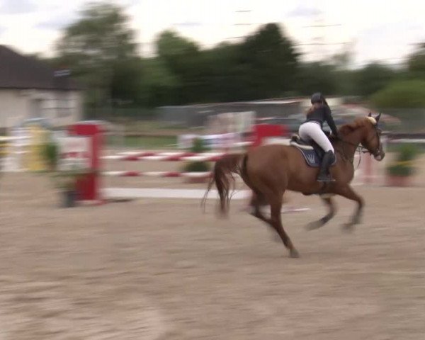 Reitturnier Kleinostheim/Ufr. 2020