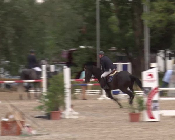 Reitturnier Kleinostheim/Ufr. 2020