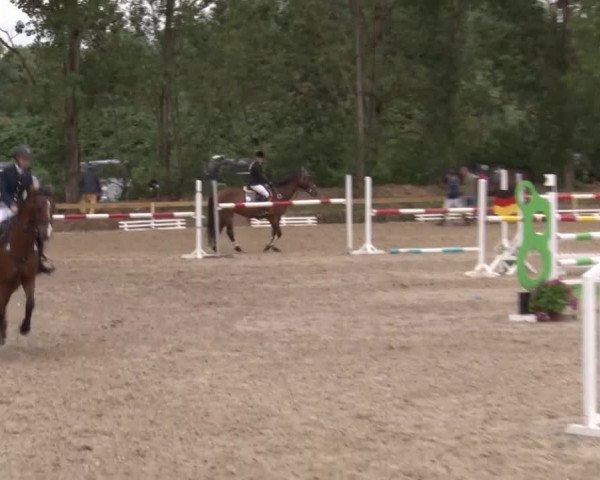 Reitturnier Kleinostheim/Ufr. 2020