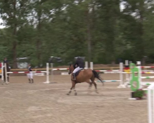 Reitturnier Kleinostheim/Ufr. 2020
