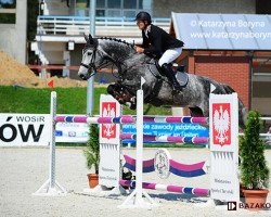 jumper Zarino 49 (Holsteiner, 2004, from Calato)