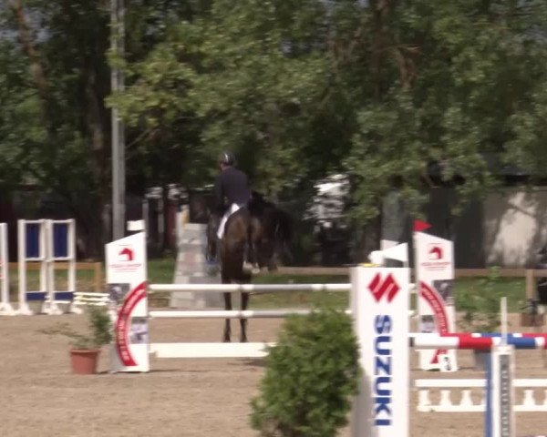 Reitturnier Kleinostheim/Ufr. 2020