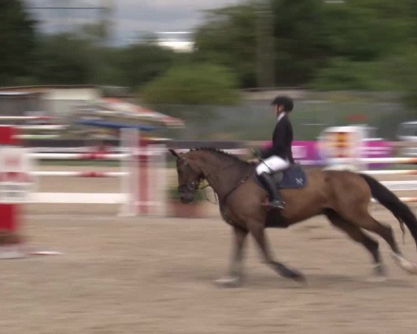 Reitturnier Kleinostheim/Ufr. 2020