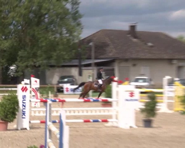 Reitturnier Kleinostheim/Ufr. 2020