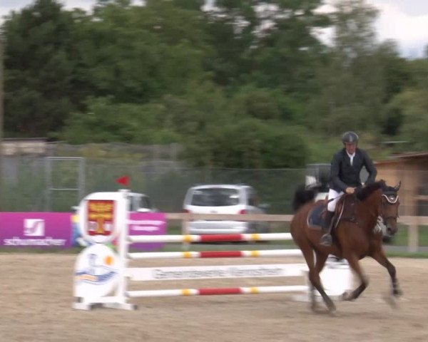 Reitturnier Kleinostheim/Ufr. 2020