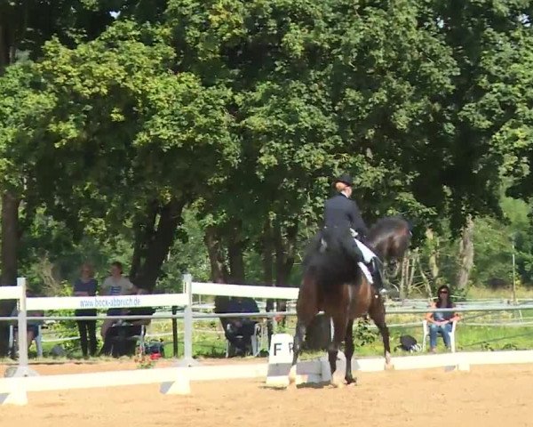 Reitturnier Babenhausen/Schw. 2020