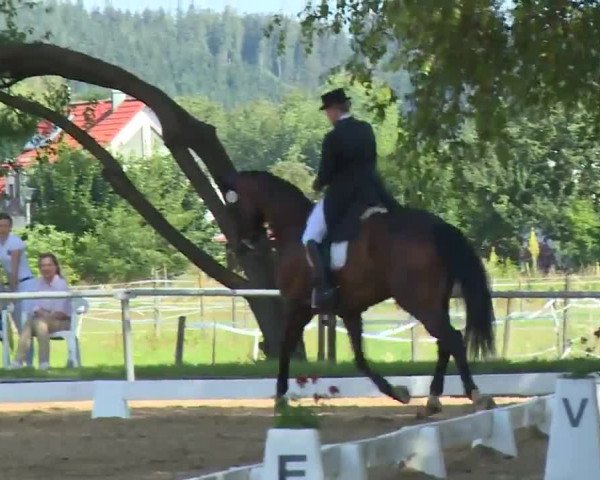 Reitturnier Babenhausen/Schw. 2020