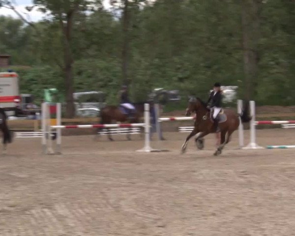 Reitturnier Kleinostheim/Ufr. 2020
