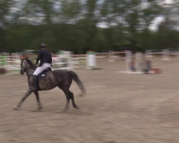 Reitturnier Kleinostheim/Ufr. 2020