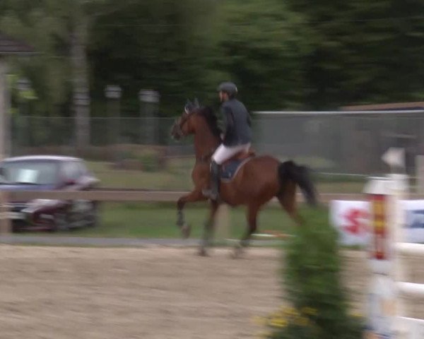 Reitturnier Kleinostheim/Ufr. 2020
