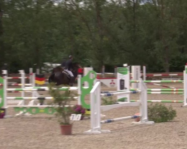 Reitturnier Kleinostheim/Ufr. 2020