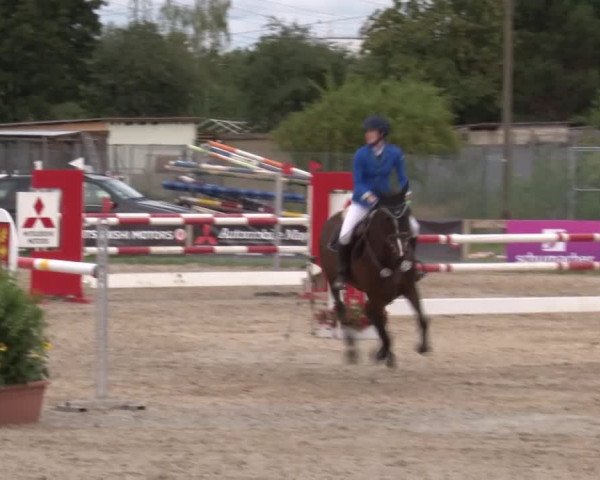 Reitturnier Kleinostheim/Ufr. 2020