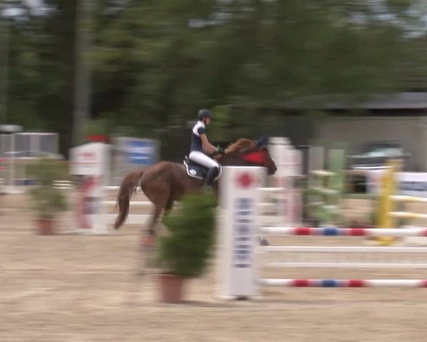 Reitturnier Kleinostheim/Ufr. 2020