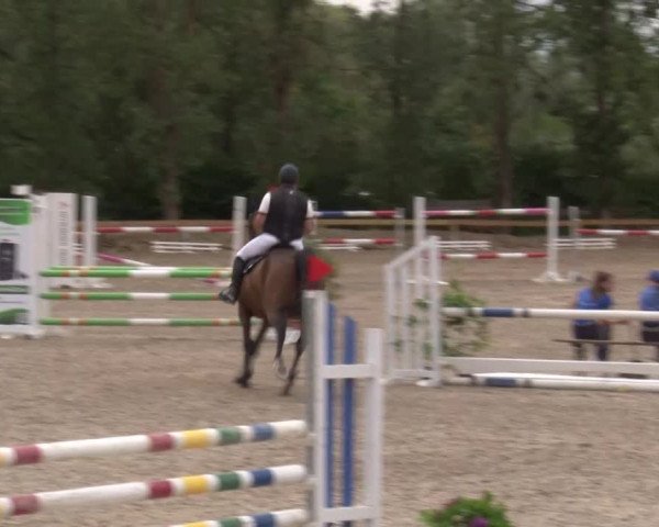 Reitturnier Kleinostheim/Ufr. 2020