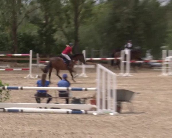 Reitturnier Kleinostheim/Ufr. 2020