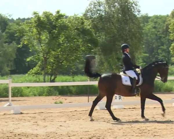 Reitturnier Babenhausen/Schw. 2020