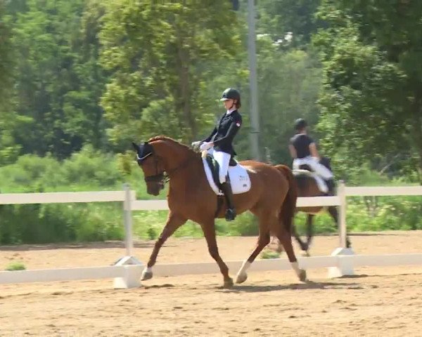 Reitturnier Babenhausen/Schw. 2020