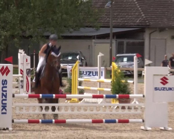 Reitturnier Kleinostheim/Ufr. 2020