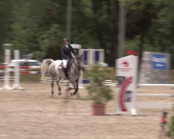 Reitturnier Kleinostheim/Ufr. 2020