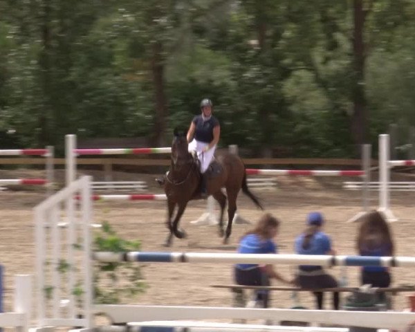 Reitturnier Kleinostheim/Ufr. 2020