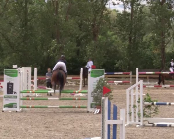 Reitturnier Kleinostheim/Ufr. 2020