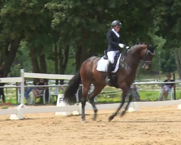 Reitturnier Babenhausen/Schw. 2020