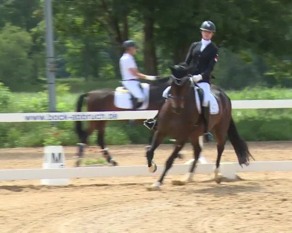 Reitturnier Babenhausen/Schw. 2020