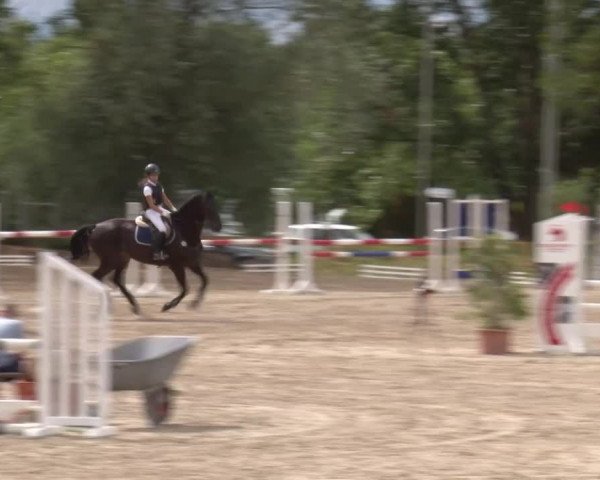 Reitturnier Kleinostheim/Ufr. 2020