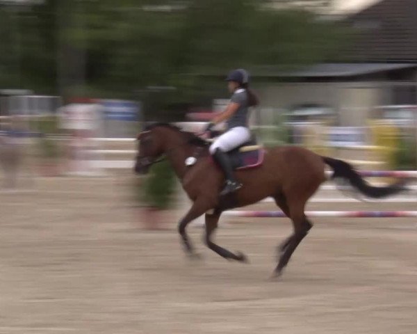 Reitturnier Kleinostheim/Ufr. 2020
