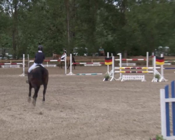 Reitturnier Kleinostheim/Ufr. 2020