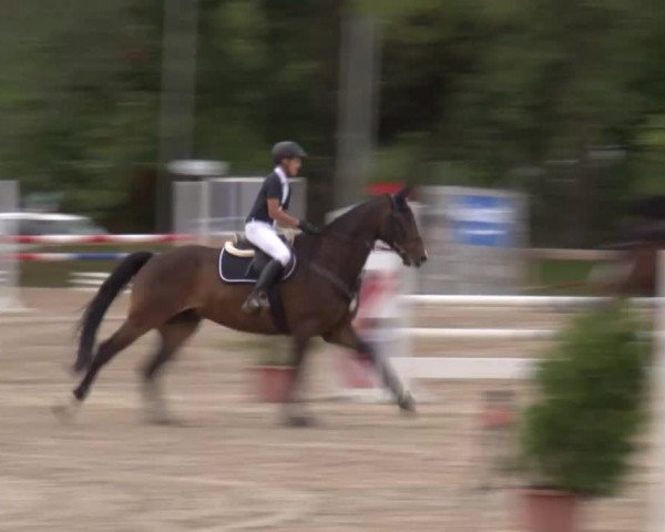 Reitturnier Kleinostheim/Ufr. 2020