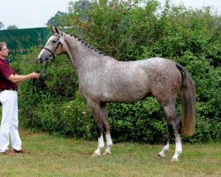 broodmare A-Colour VA (Holsteiner, 2008, from Cassini II)