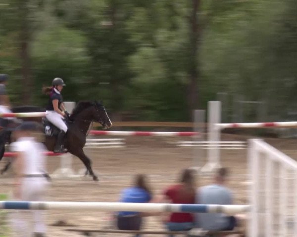 Reitturnier Kleinostheim/Ufr. 2020