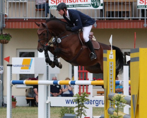 jumper Staklado (Hanoverian, 2007, from Stakkato)