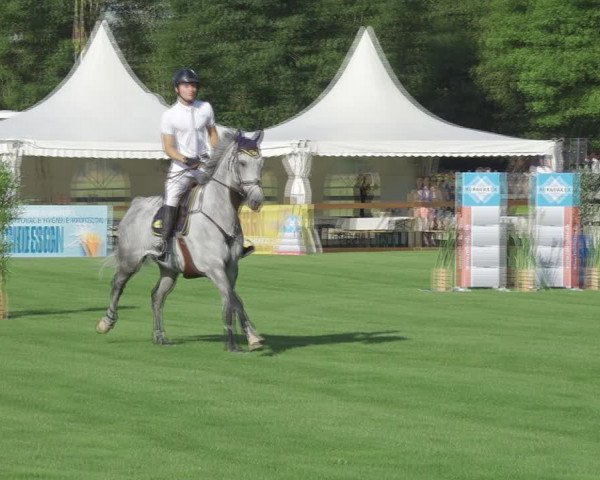 Reitturnier Kappelen-Lyss 2020
