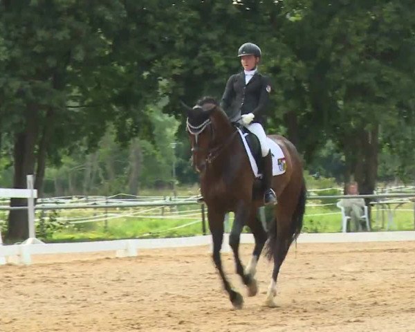 Reitturnier Babenhausen/Schw. 2020
