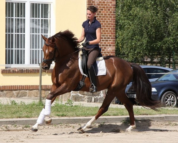 horse John Lennon (Oldenburg, 2007, from Jazz Rubin)