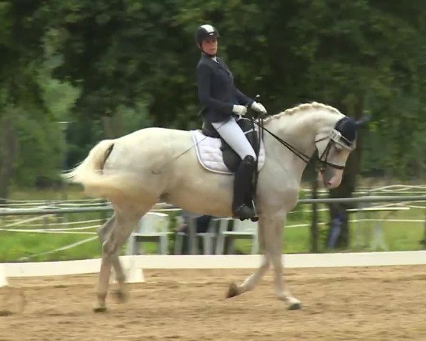 Reitturnier Babenhausen/Schw. 2020