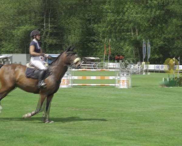 Reitturnier Kappelen-Lyss 2020